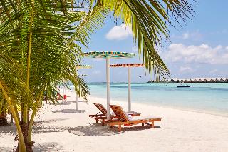 Lux South Ari Atoll fotoÄŸrafÄ±