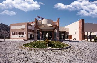 Anemon Manisa otel fotoğrafı