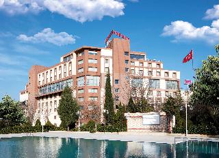 Anemon Manisa fotoÄŸrafÄ±