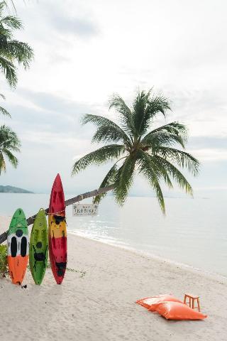 Mimosa Resort & Spa fotoÄŸrafÄ±