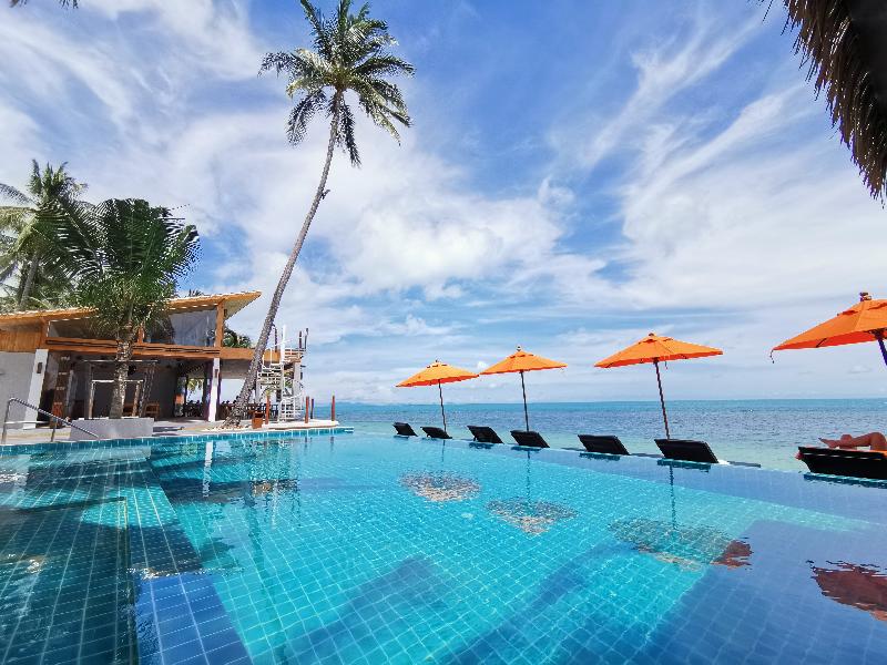 Mimosa Resort & Spa - Havuz