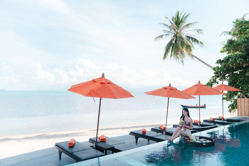 Mimosa Resort & Spa - Havuz