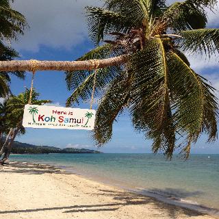 Mimosa Resort & Spa fotoÄŸrafÄ±