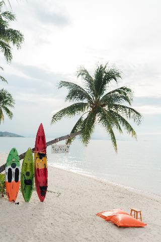 Mimosa Resort & Spa fotoÄŸrafÄ±