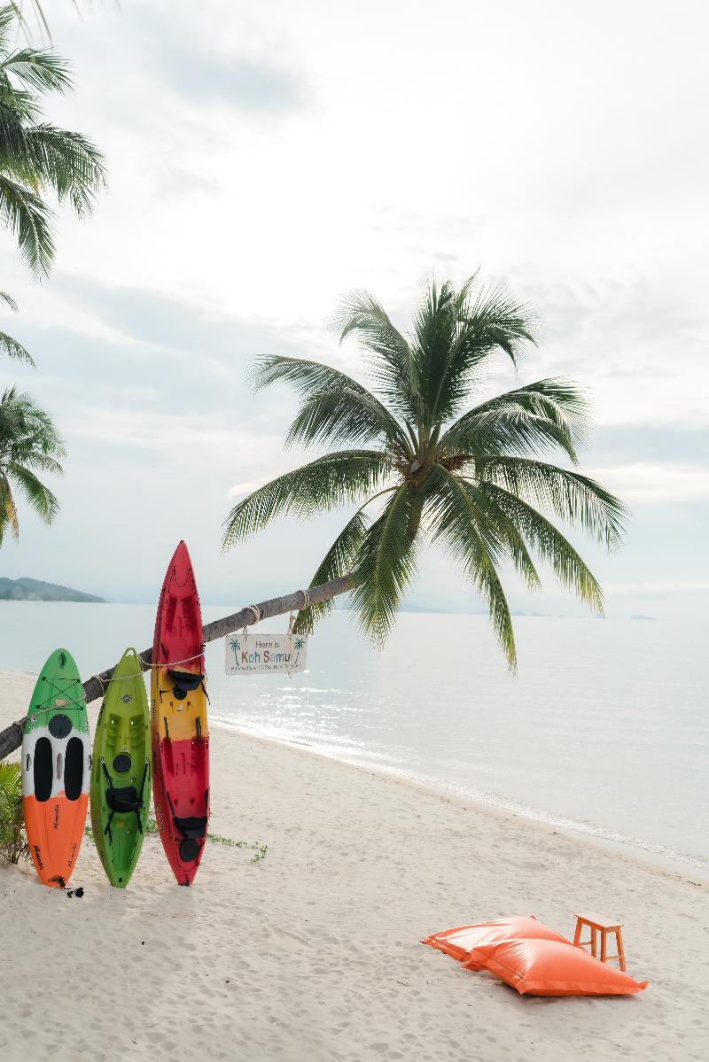 Mimosa Resort & Spa - Plaj