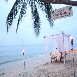 Mimosa Resort & Spa fotoÄŸrafÄ±