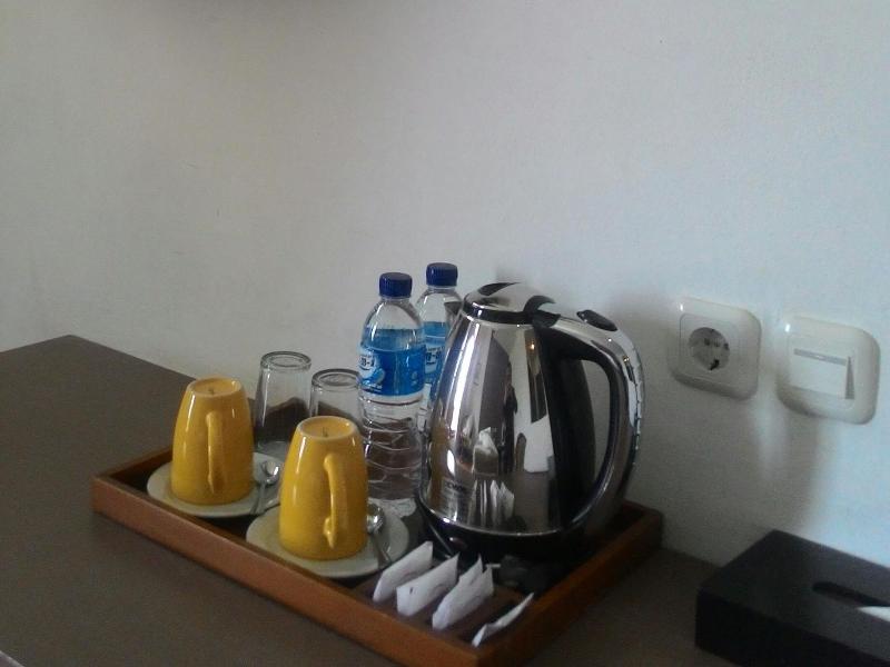 Sinabung Resort Hotel - Genel