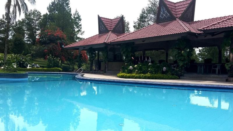 Sinabung Resort Hotel - Havuz