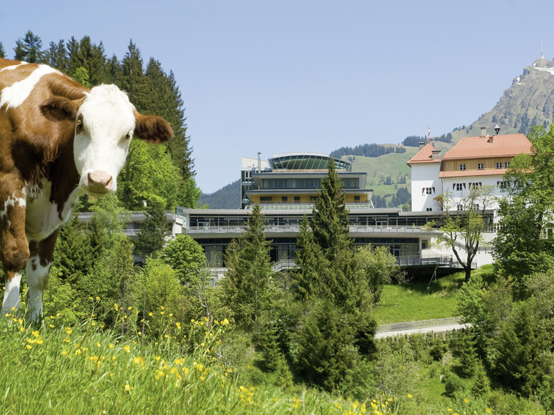 Hotel Schloss Lebenberg - Genel