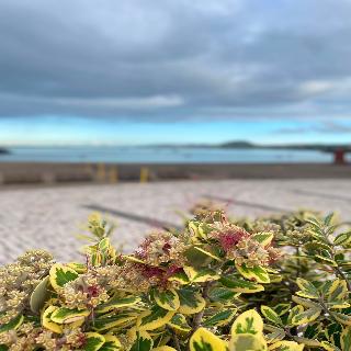 Praia Marina by RIDAN Hotels fotoÄŸrafÄ±