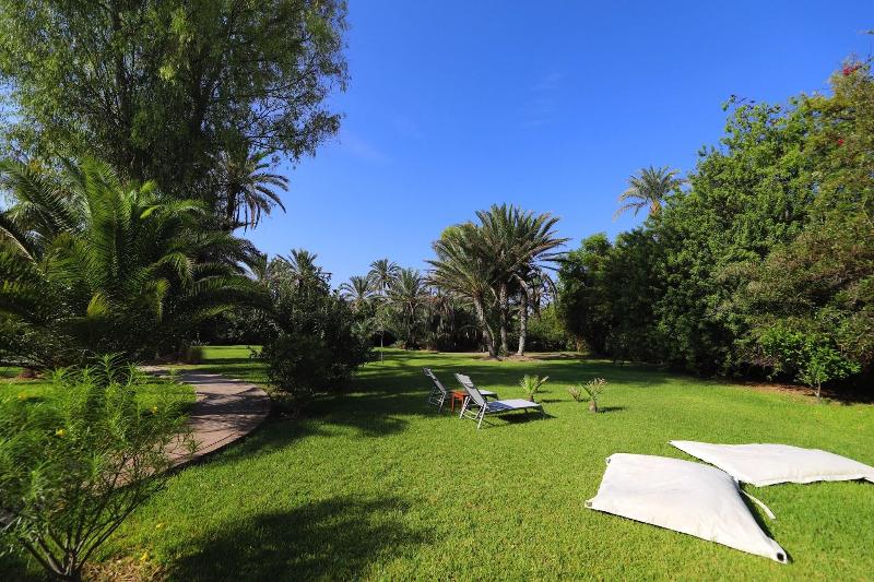 Villa al Assala Palmeraie - Aktivite