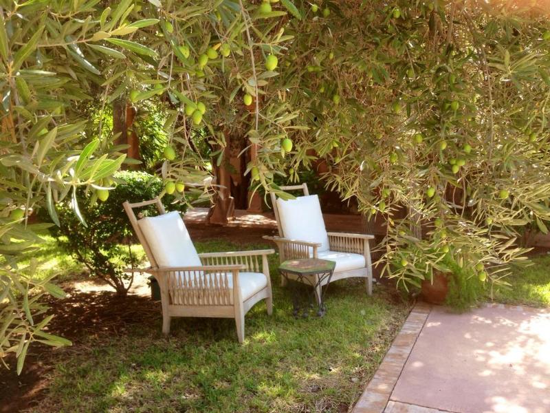 Villa al Assala Palmeraie - Genel