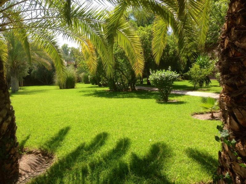 Villa al Assala Palmeraie - Genel