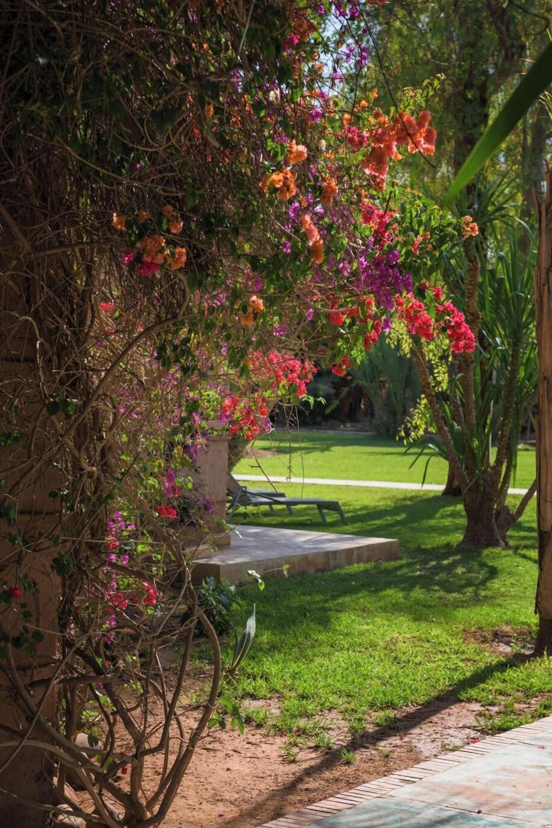 Villa al Assala Palmeraie - Genel