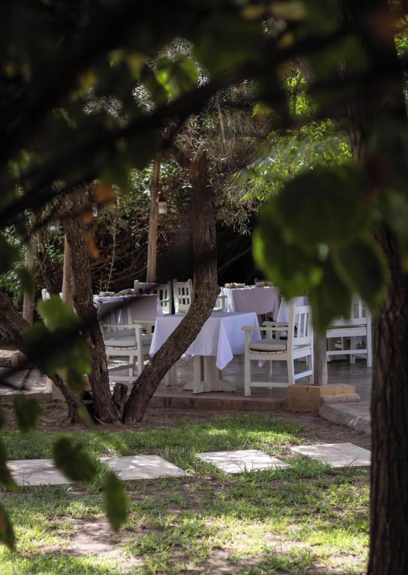 Villa al Assala Palmeraie - Restoran
