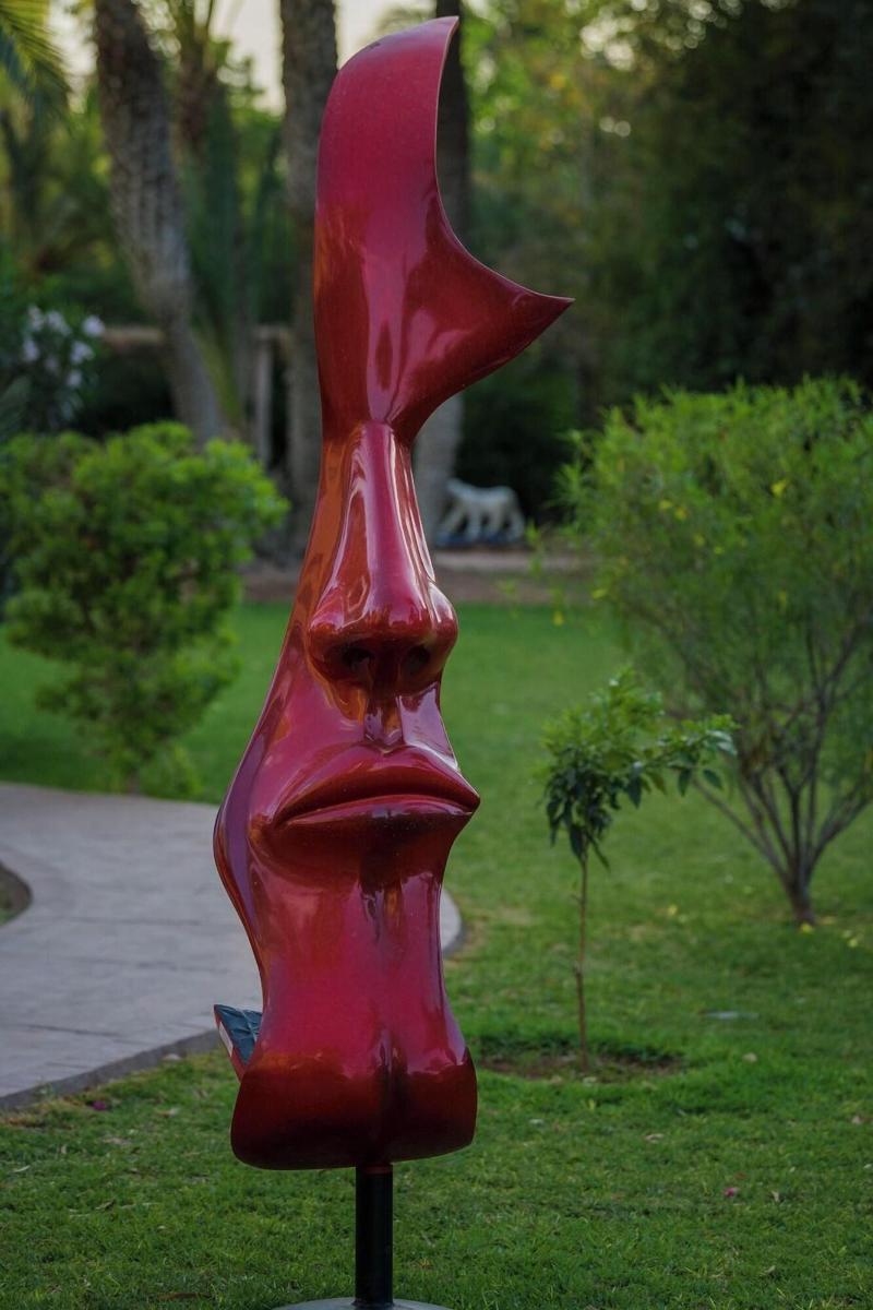 Villa al Assala Palmeraie - Teras