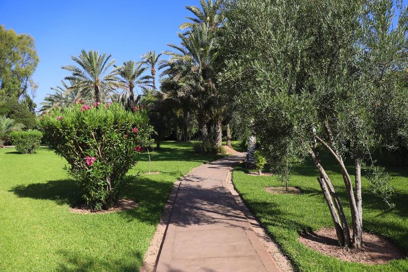 Villa al Assala Palmeraie - Teras