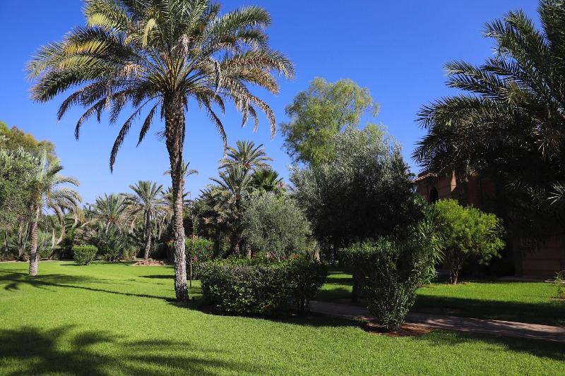 Villa al Assala Palmeraie - Teras