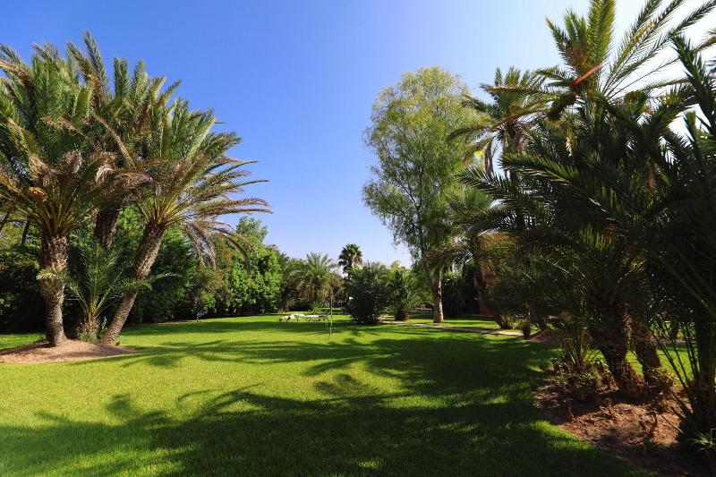 Villa al Assala Palmeraie - Teras