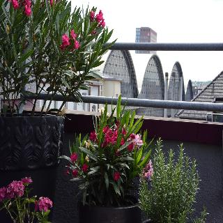 Tante ALMA Bristol Hotel fotoÄŸrafÄ±