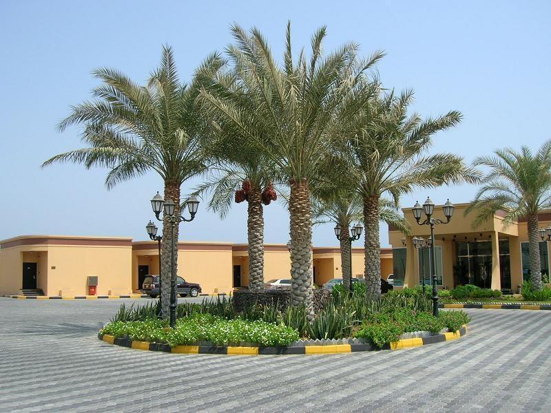 Royal Beach Hotel and Resort - Genel