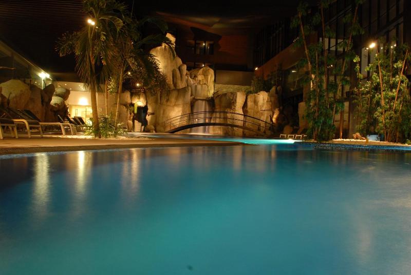 H2otel Congress & Medical Spa - Havuz