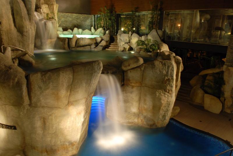 H2otel Congress & Medical Spa - Havuz