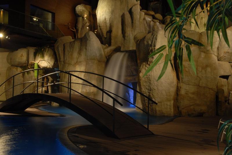 H2otel Congress & Medical Spa - Havuz