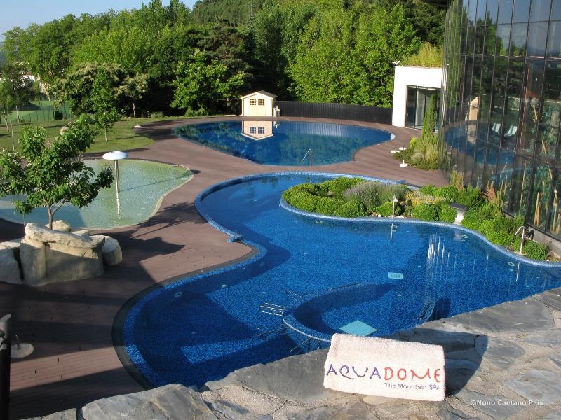 H2otel Congress & Medical Spa - Havuz