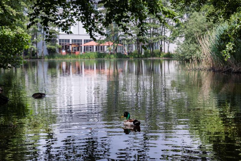 B&B HOTEL Krefeld Süd - Aktivite