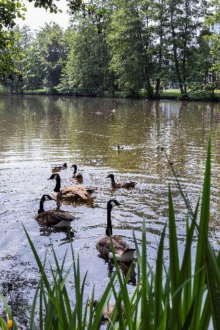 B&B HOTEL Krefeld Süd fotoÄŸrafÄ±