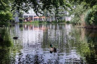 B&B HOTEL Krefeld Süd fotoÄŸrafÄ±