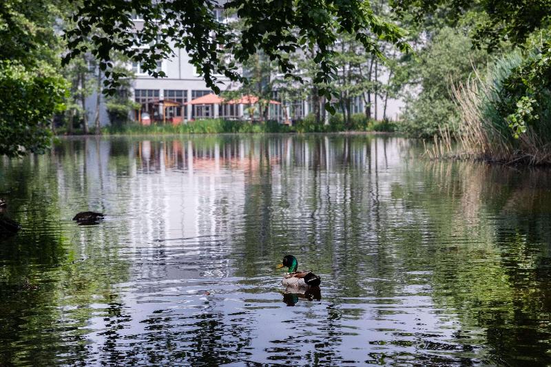 B&B HOTEL Krefeld Süd - Genel