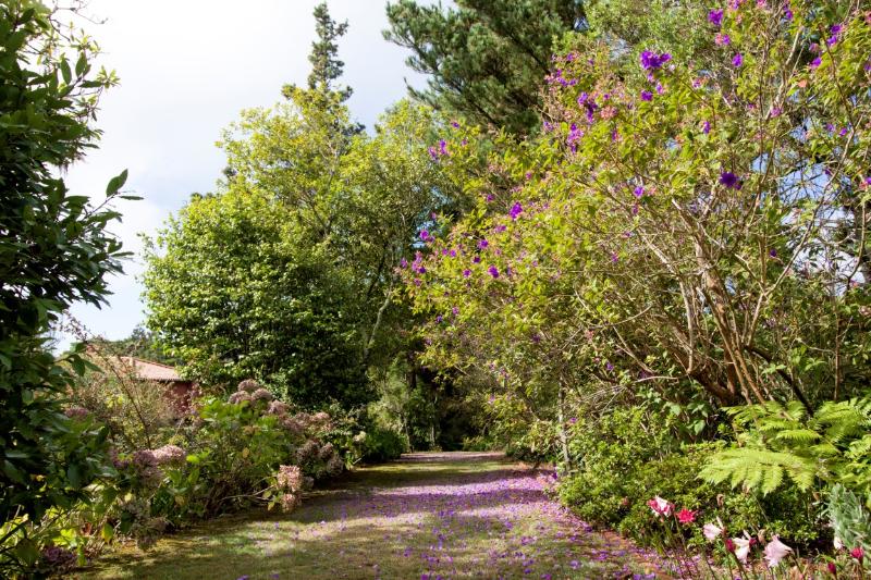 Quinta Santo Antonio Da Serra - Genel