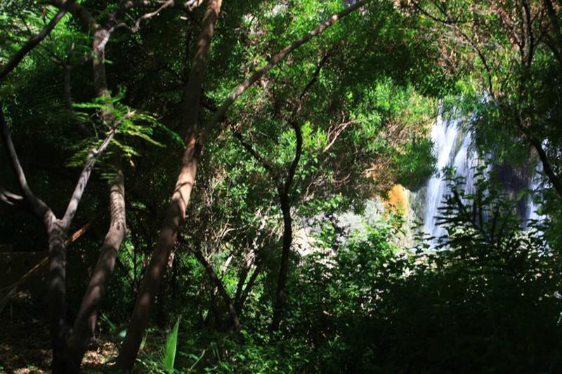 Ma'In Hot Springs - Genel