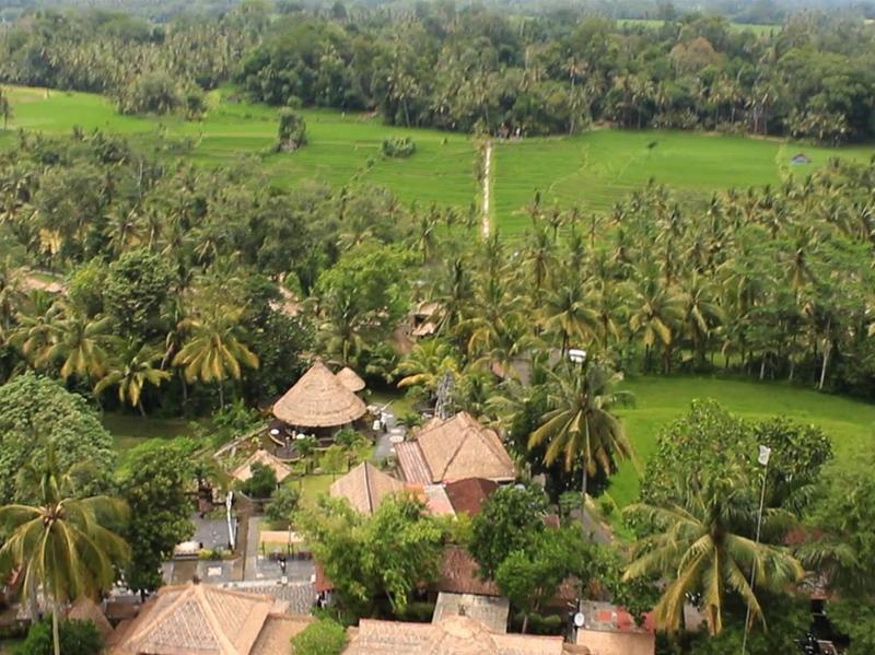 Puri Taman Sari - Genel