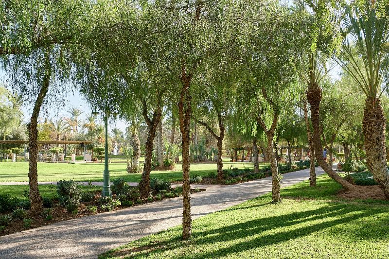 Iberostar Waves Club Palmeraie Marrakech - Aktivite