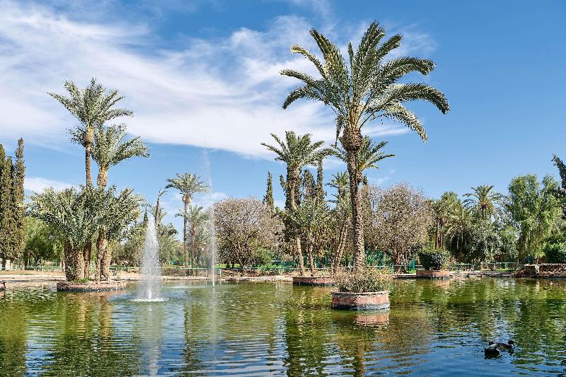 Iberostar Waves Club Palmeraie Marrakech - Aktivite