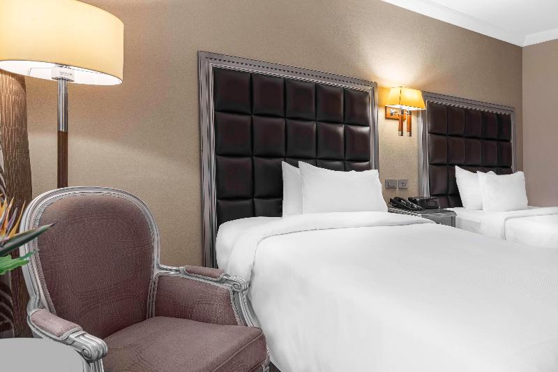 Hilton Alexandria Corniche Hotel - Oda