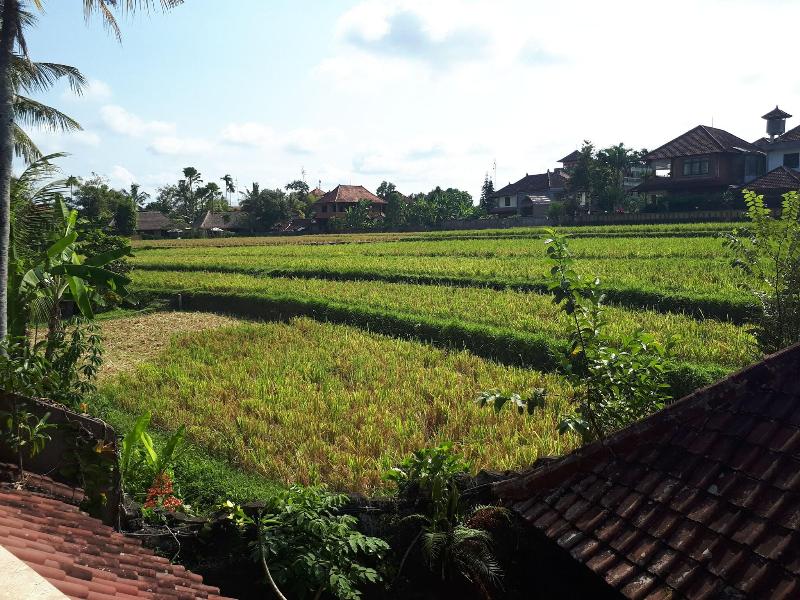 Cendana Resort & Spa - Genel