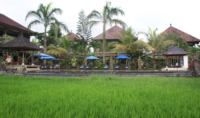 Cendana Resort & Spa - Genel