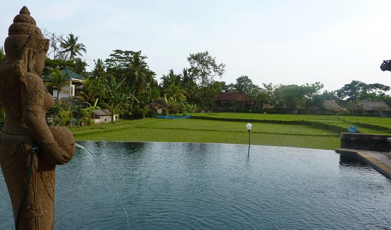 Cendana Resort & Spa - Havuz
