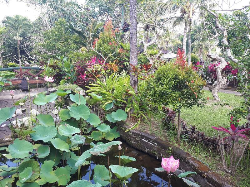 Cendana Resort & Spa - Teras