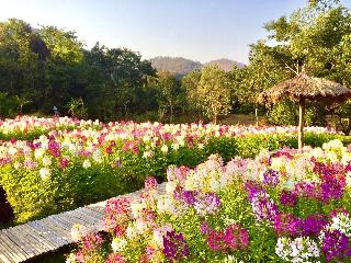 Sibsan Resort & Spa Maetaen fotoÄŸrafÄ±