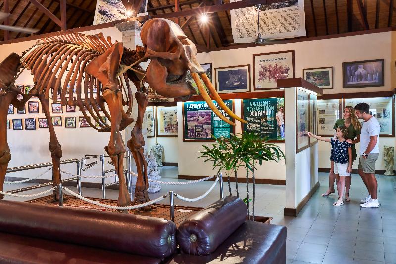 Mason Elephant Park and Lodge Gianyar Bali - Lobi