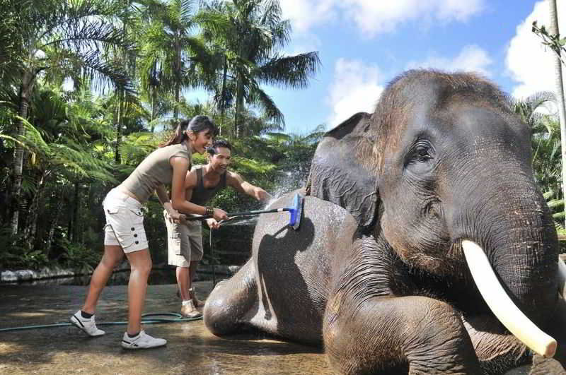 Mason Elephant Park and Lodge Gianyar Bali fotoÄŸrafÄ±