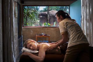 Mason Elephant Park and Lodge Gianyar Bali fotoÄŸrafÄ±