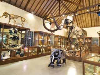 Mason Elephant Park and Lodge Gianyar Bali fotoÄŸrafÄ±
