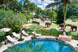 Mason Elephant Park and Lodge Gianyar Bali otel fotoğrafı