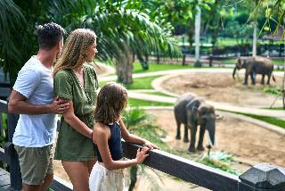 Mason Elephant Park and Lodge Gianyar Bali fotoÄŸrafÄ±